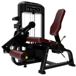 Leg Extension Machine Riado Sports