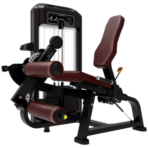 Seated Leg Curl/Extension Machine Riado Sports