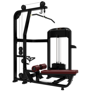 Lat pull down and Low Row Machine